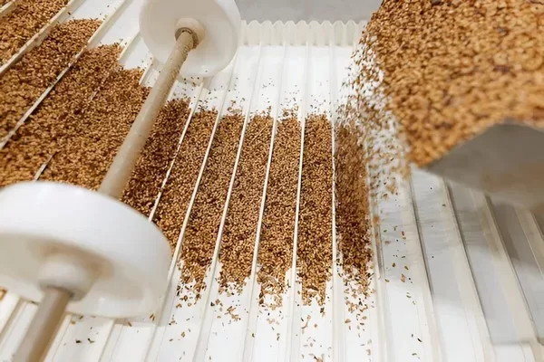 wheat cleaner