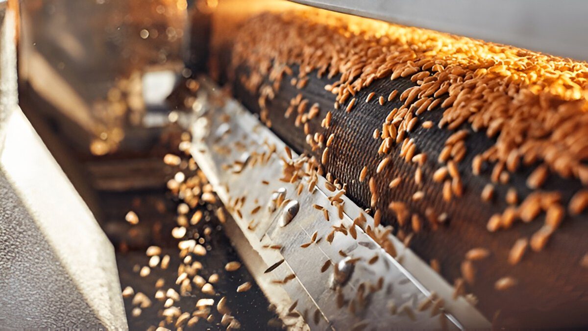 Grain Processing