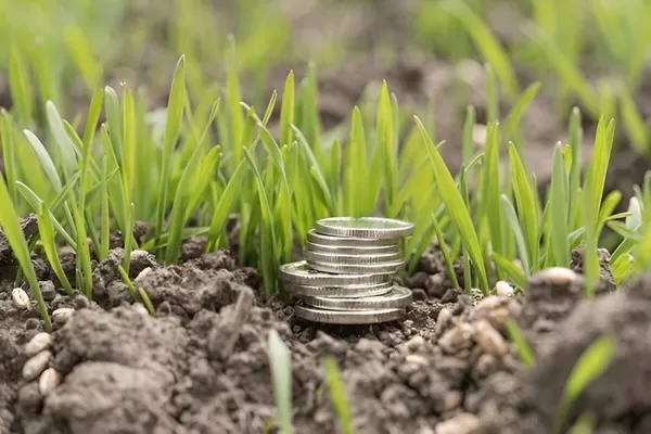 profitability